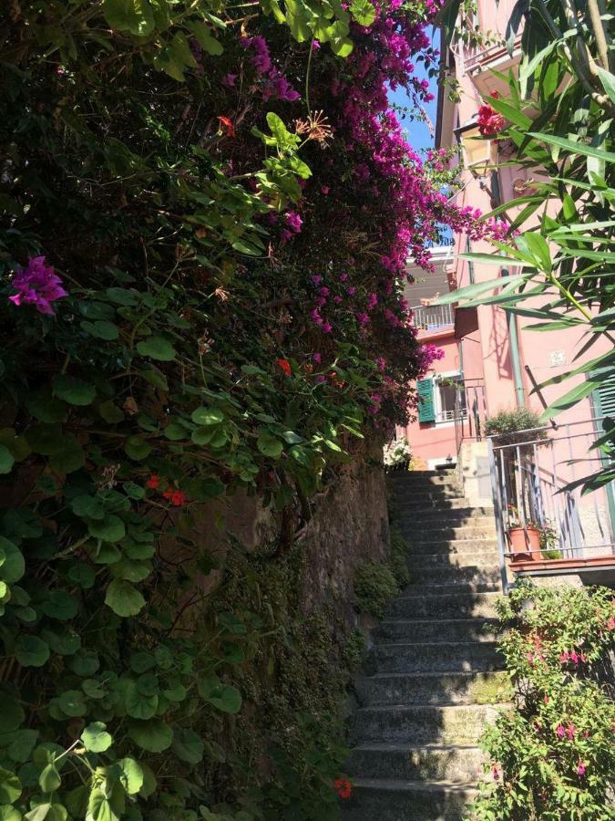 Apt. With An Exciting View Monterosso al Mare Exteriér fotografie